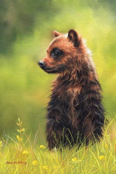 Baby Animals: Brown Bear Cub by Sarah Stribbling