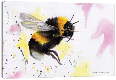 Bumblebee III Canvas Art Print - Bee Art