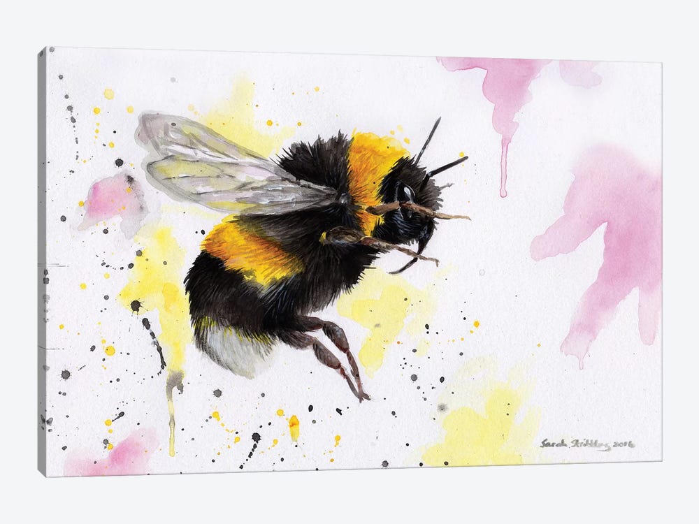 Bumblebee III by Sarah Stribbling 1-piece Canvas Art