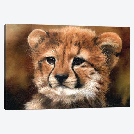 Cheetah Cub I Canvas Print #SAS25} by Sarah Stribbling Canvas Artwork