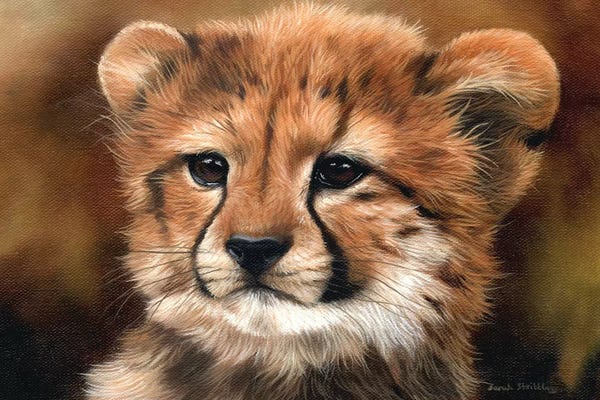 Cheetahs: Cheetah Cub I by Sarah Stribbling