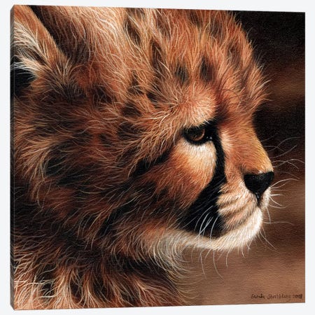 Cheetah Cub II Canvas Print #SAS26} by Sarah Stribbling Canvas Art
