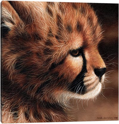 Cheetah Cub II Canvas Art Print - Cheetah Art