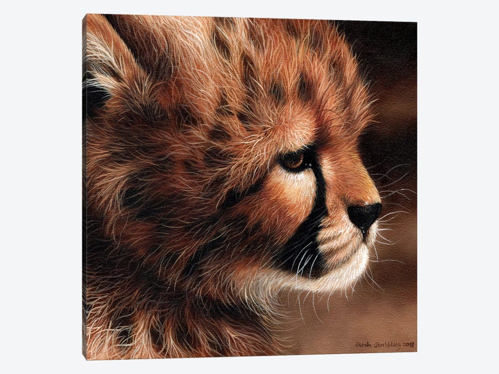 Cheetah Cub II by Sarah Stribbling 1-piece Art Print