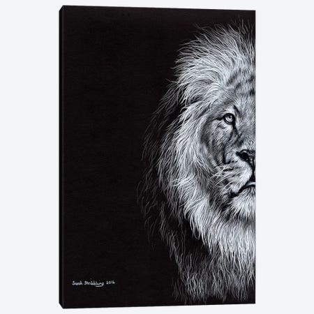 African Lion I Canvas Print #SAS2} by Sarah Stribbling Canvas Art Print