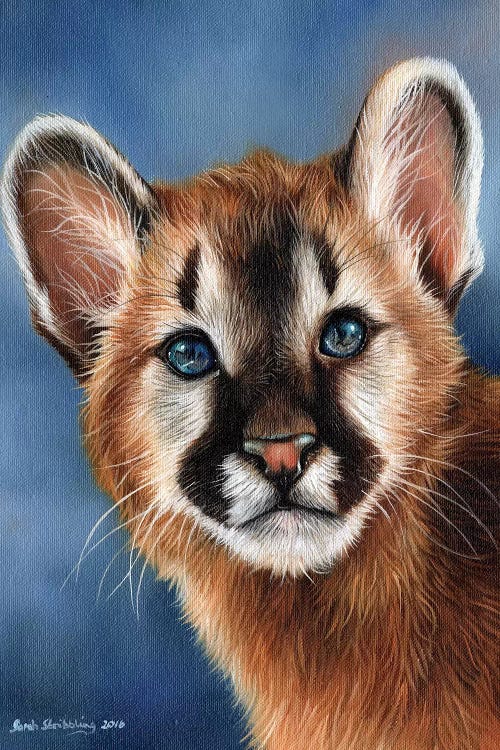 Cougar Cub by Sarah Stribbling wall art
