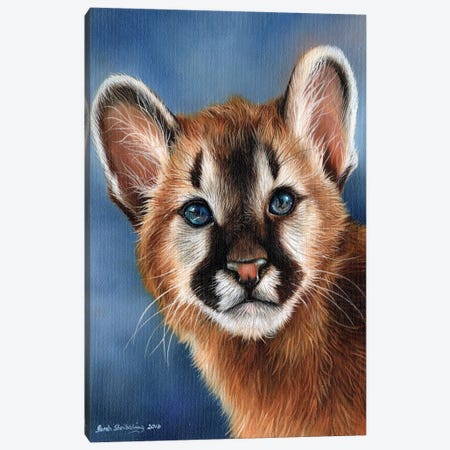 Cougar Cub Canvas Print #SAS31} by Sarah Stribbling Canvas Art