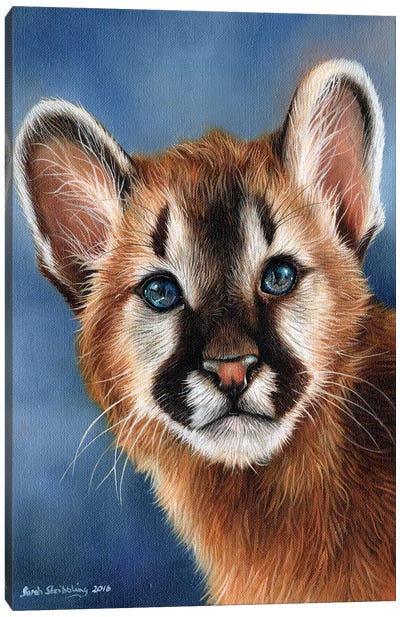 Cougar Cub Canvas Art Print - Cougars