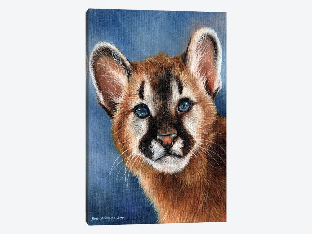 Cougar Cub by Sarah Stribbling 1-piece Art Print