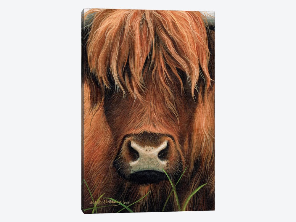 Cow by Sarah Stribbling 1-piece Canvas Wall Art