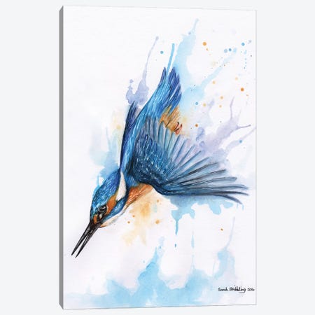 Diving Kingfisher I Canvas Print #SAS33} by Sarah Stribbling Canvas Art