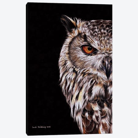 Eagle-Owl I Canvas Print #SAS34} by Sarah Stribbling Art Print