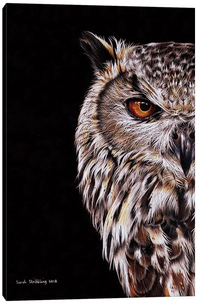 Eagle-Owl I Canvas Art Print