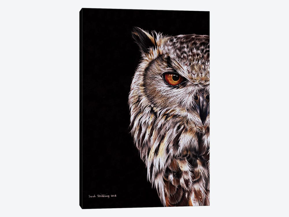 Eagle-Owl I by Sarah Stribbling 1-piece Canvas Wall Art