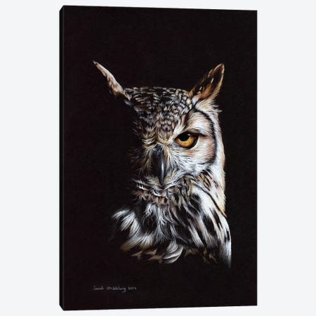 Eagle Owl II Canvas Print #SAS35} by Sarah Stribbling Canvas Art Print