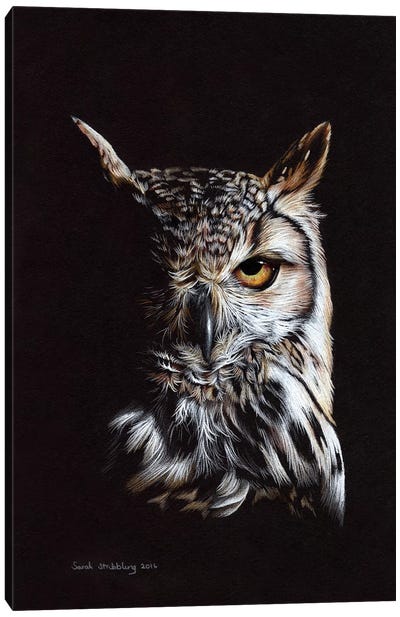 Eagle Owl II Canvas Art Print - Sarah Stribbling