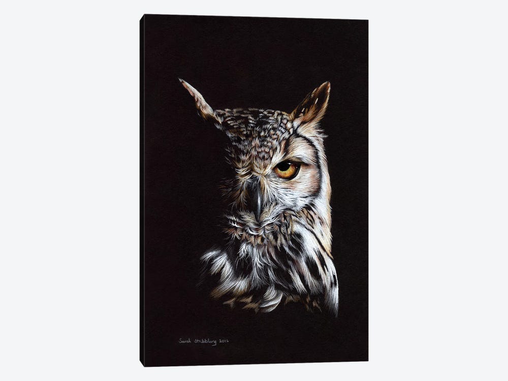 Eagle Owl II by Sarah Stribbling 1-piece Canvas Print