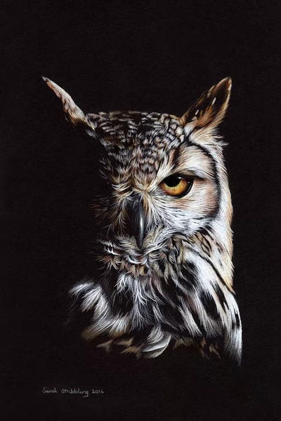 Chiaroscuro: Eagle Owl II by Sarah Stribbling