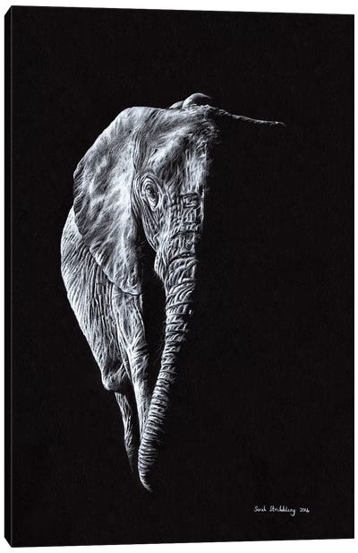 Elephant Black Canvas Art Print - Photorealism Art
