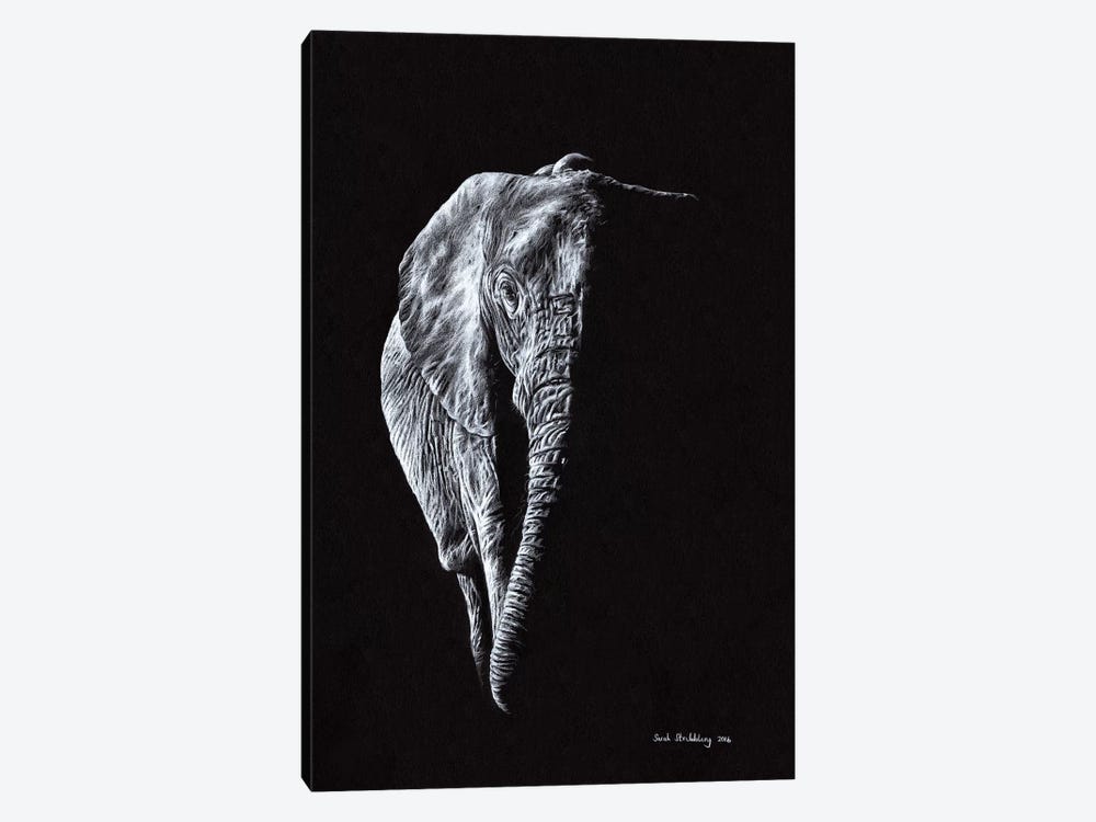 Elephant Black by Sarah Stribbling 1-piece Canvas Art