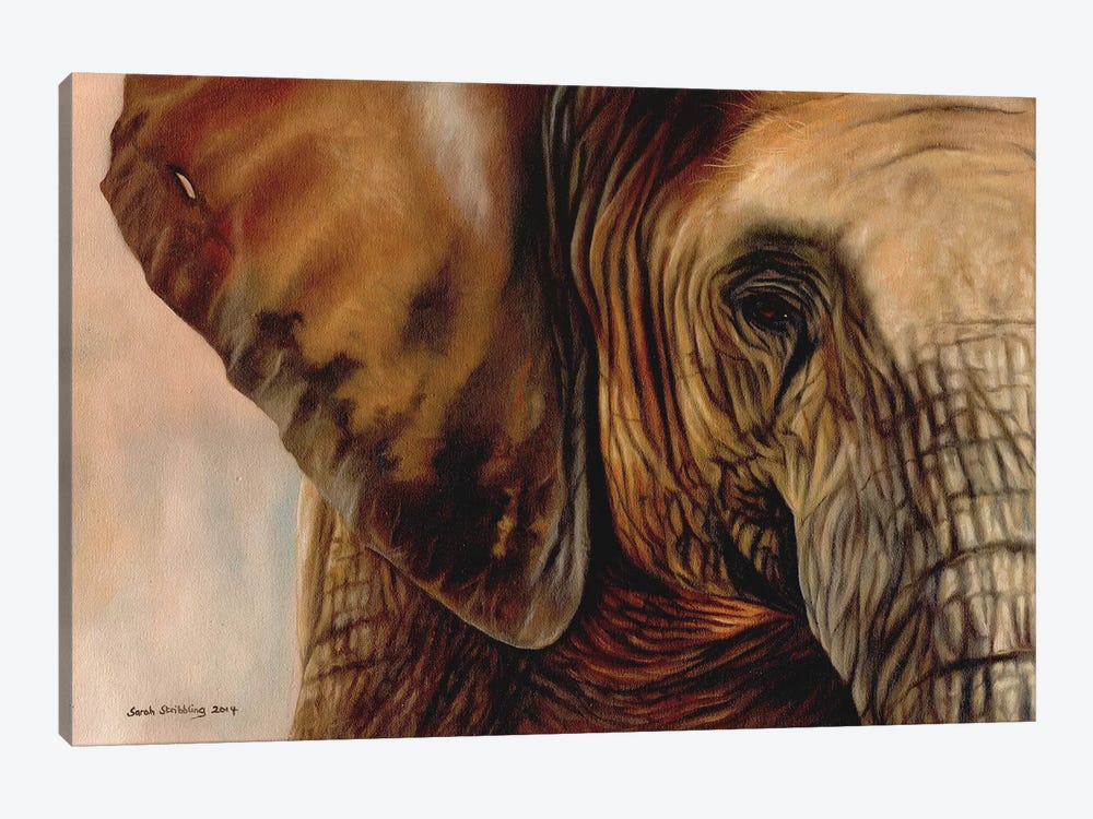 Elephant by Sarah Stribbling 1-piece Canvas Print