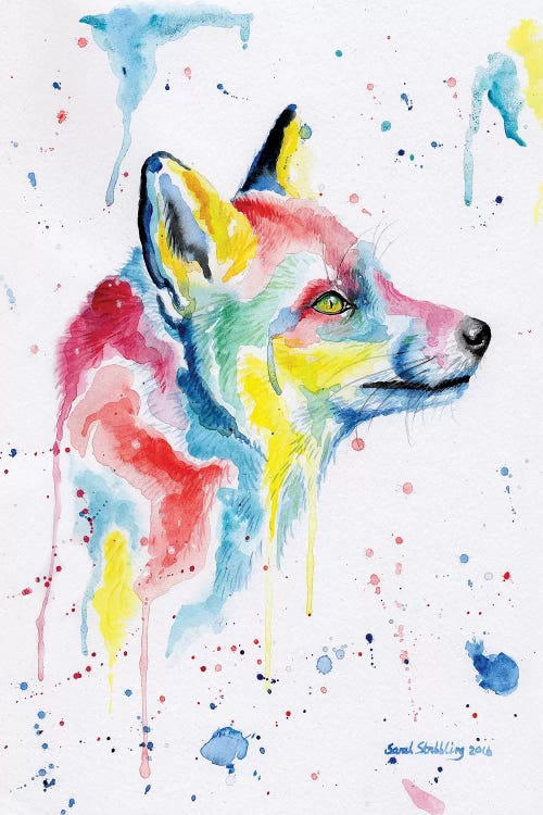 Fox Dream by Sarah Stribbling wall art