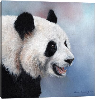 Giant Panda Canvas Art Print - Photorealism Art