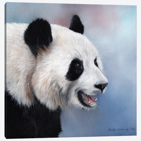 Giant Panda Canvas Print #SAS42} by Sarah Stribbling Canvas Print