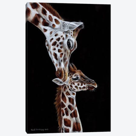 Giraffes I Canvas Print #SAS43} by Sarah Stribbling Canvas Print