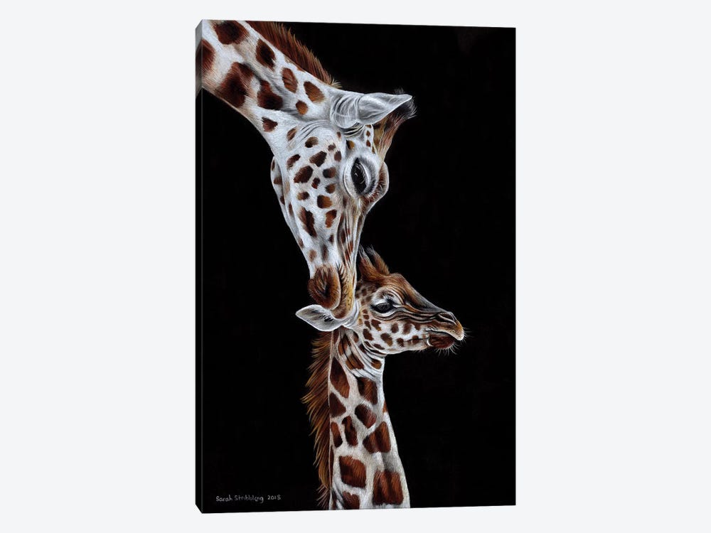 Giraffes I by Sarah Stribbling 1-piece Canvas Art