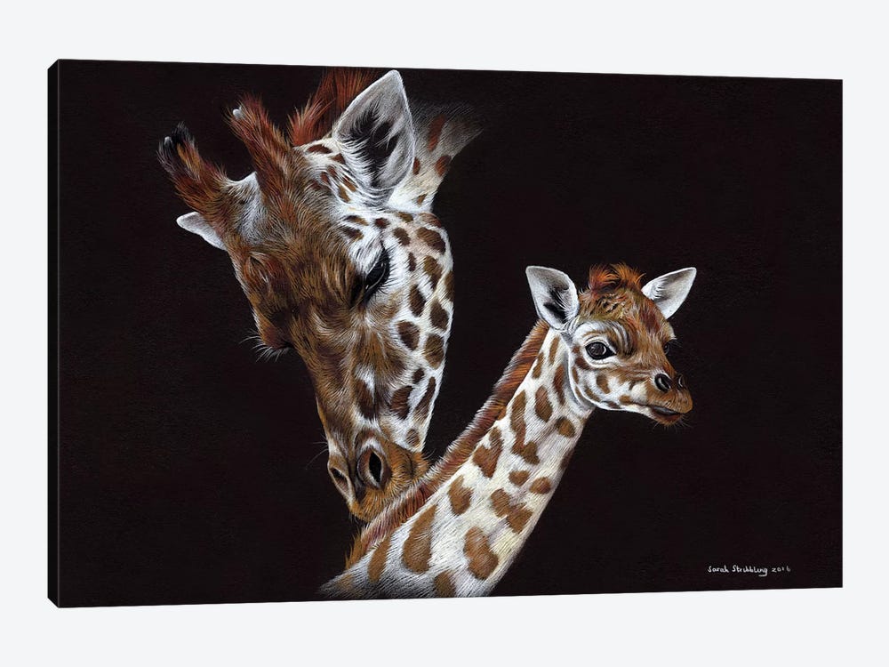 Giraffes II  by Sarah Stribbling 1-piece Art Print