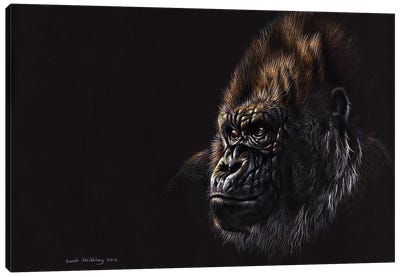 Gorilla Pastel Canvas Art Print - Photorealism Art