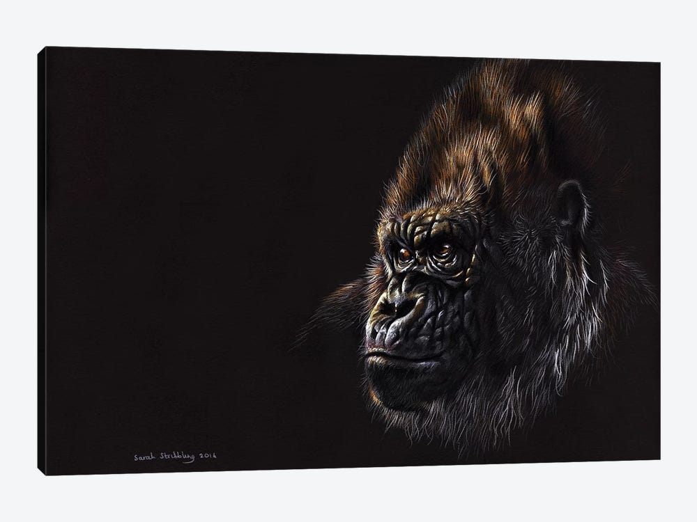 Gorilla Pastel by Sarah Stribbling 1-piece Canvas Wall Art