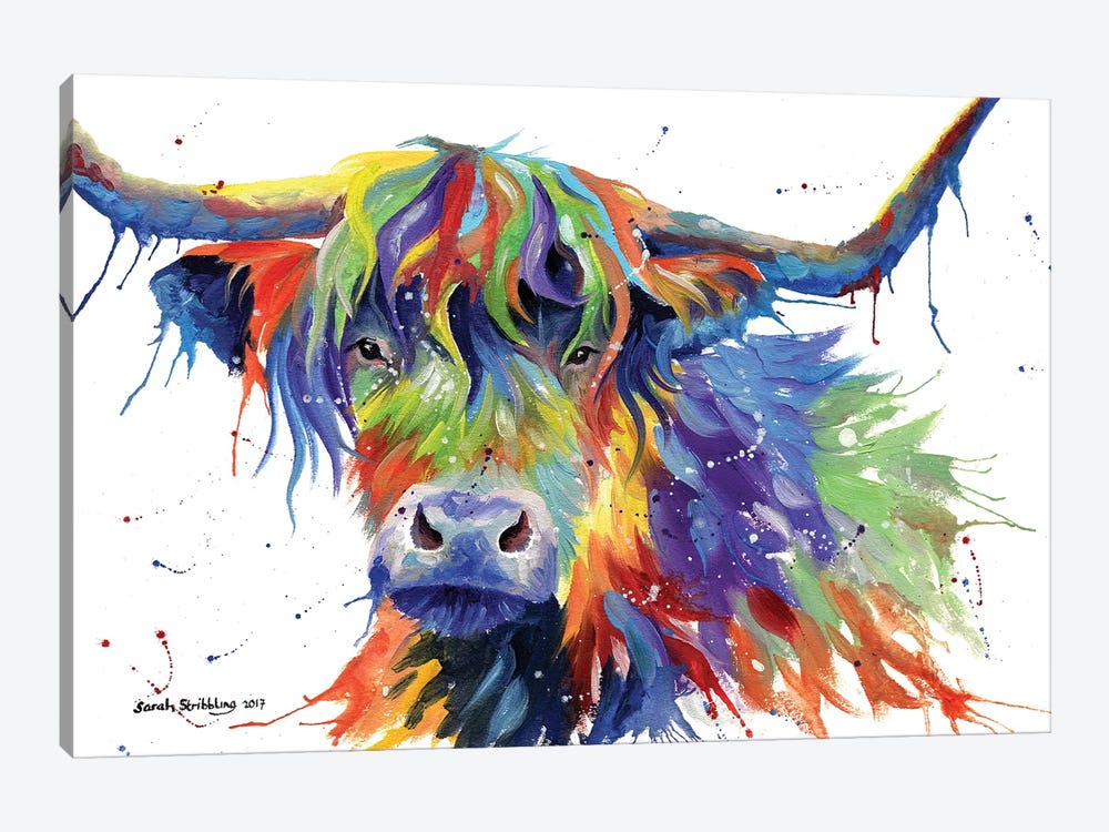 Highland Cow Colour by Sarah Stribbling 1-piece Canvas Artwork