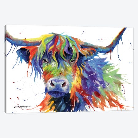 Highland Cow Colour Canvas Print #SAS49} by Sarah Stribbling Canvas Print