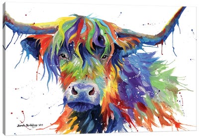 Highland Cow Colour Canvas Art Print - Farm Animal Art