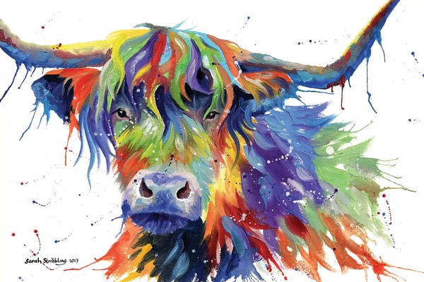 Sarah Stribbling: Highland Cow Colour by Sarah Stribbling