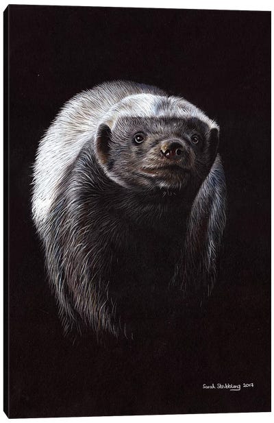 Honey Badger Canvas Art Print - Badger Art