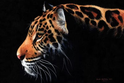 Jaguar Twilight by Sarah Stribbling art print