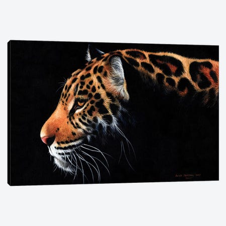 Framed Canvas Art (Gold Floating Frame) - Black Leopard by Rachel Stribbling ( Animals > Wildlife > Wild Cats > Leopards art) - 26x18 in