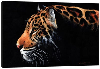 Jaguar Twilight Canvas Art Print - Sarah Stribbling