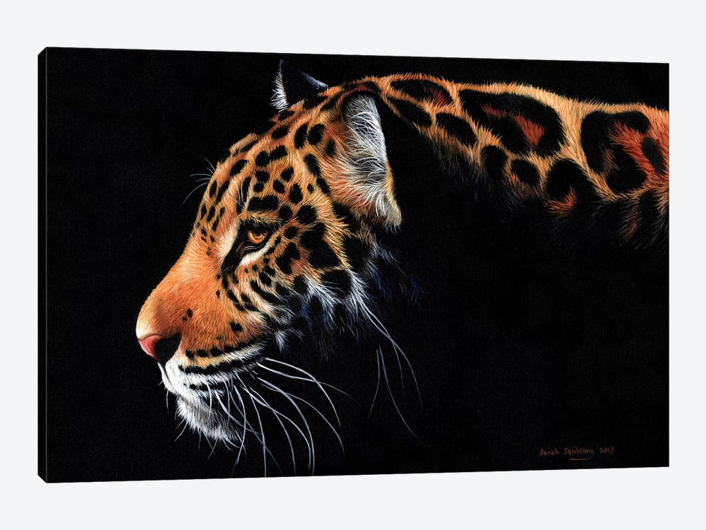 Jaguar Twilight by Sarah Stribbling 1-piece Art Print