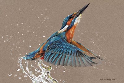 Kingfisher I by Sarah Stribbling multi panel art
