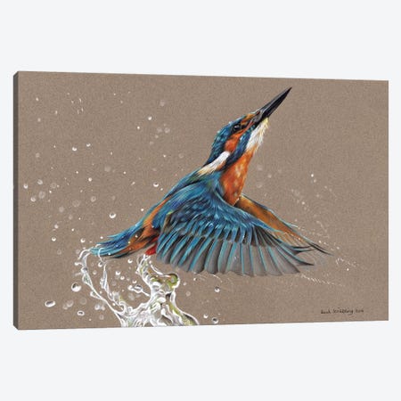 Kingfisher I Canvas Print #SAS54} by Sarah Stribbling Canvas Print