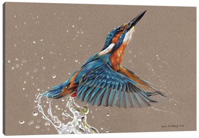 Kingfisher I Canvas Art Print - The Art of the Feather