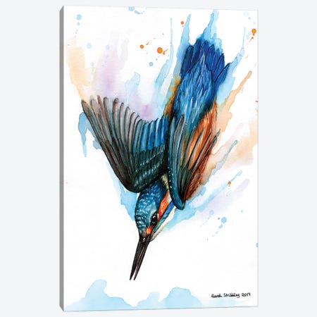 Diving Kingfisher II Canvas Print #SAS55} by Sarah Stribbling Art Print