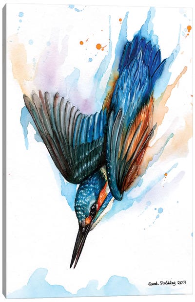 Diving Kingfisher II Canvas Art Print - Kingfisher Art