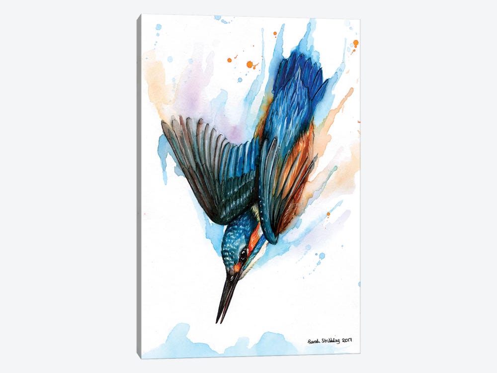 Diving Kingfisher II by Sarah Stribbling 1-piece Art Print