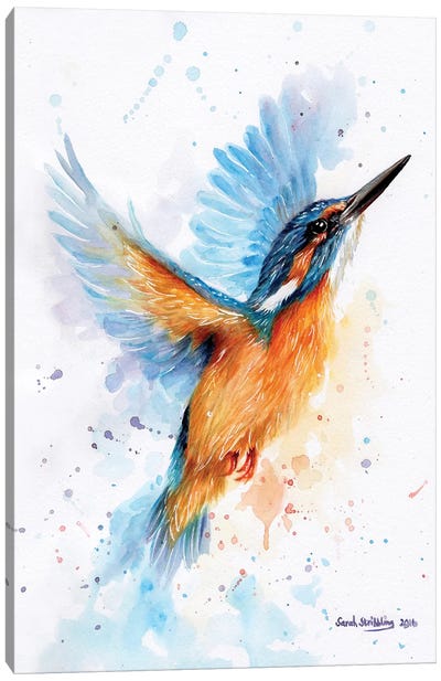 Kingfisher Watercolour Canvas Art Print - Kingfisher Art