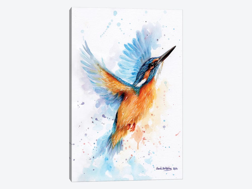 Kingfisher Watercolour by Sarah Stribbling 1-piece Canvas Art Print